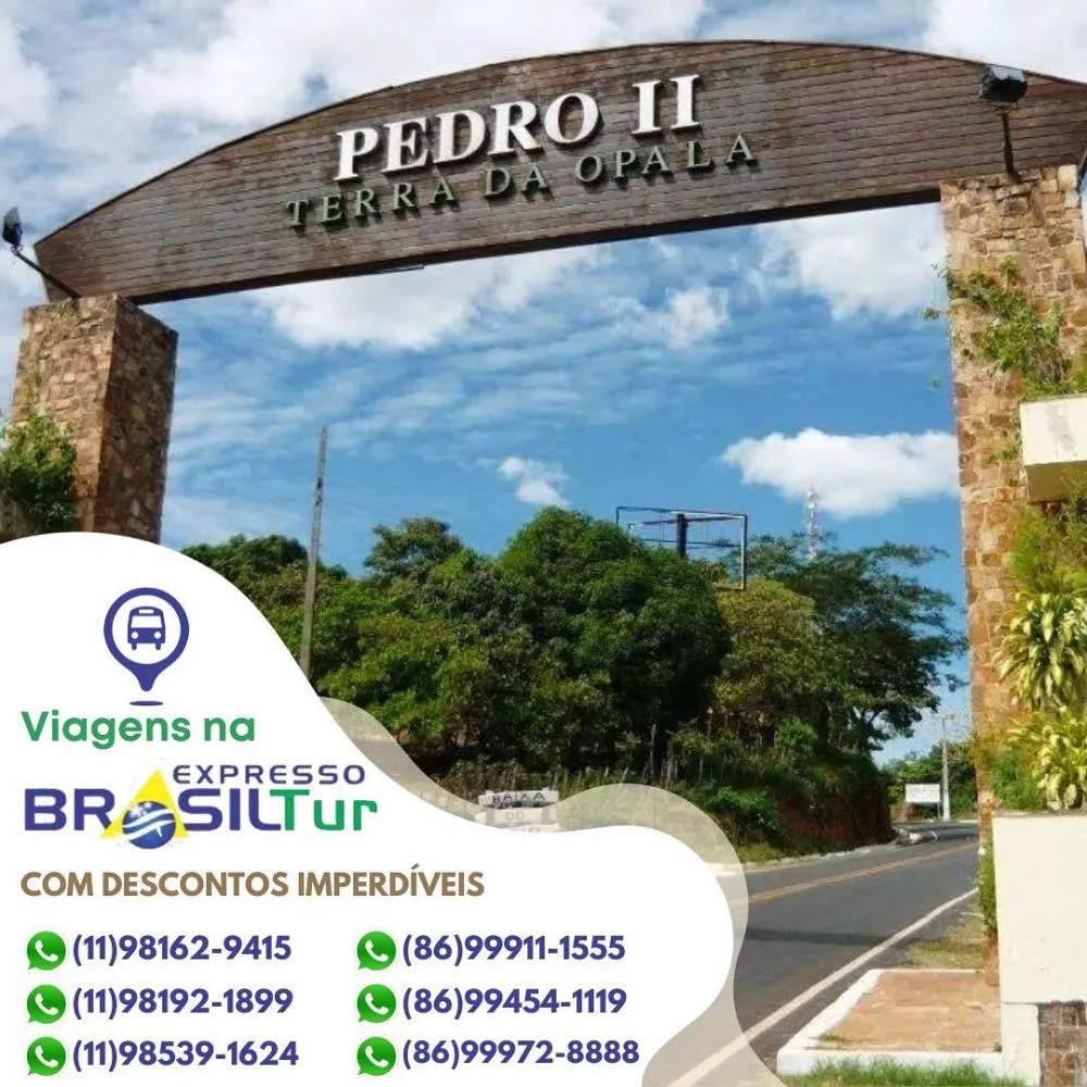 Planejando sua viagem de férias entre Piauí e São Paulo? Adquira já sua passagem na Brasil Tur! 