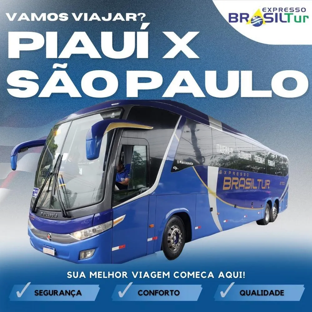 Faça o retorno da sua viagem de férias com conforto e segurança com a Brasil Tur! 