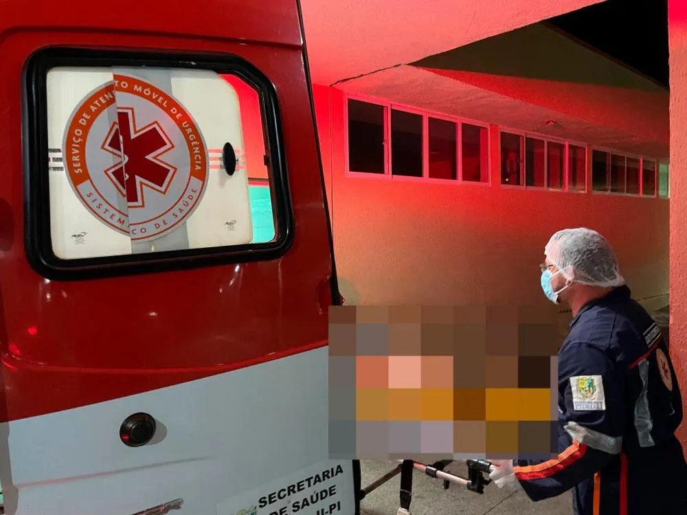 Homem fica ferido em acidente de moto na PI-477, em Pedro II