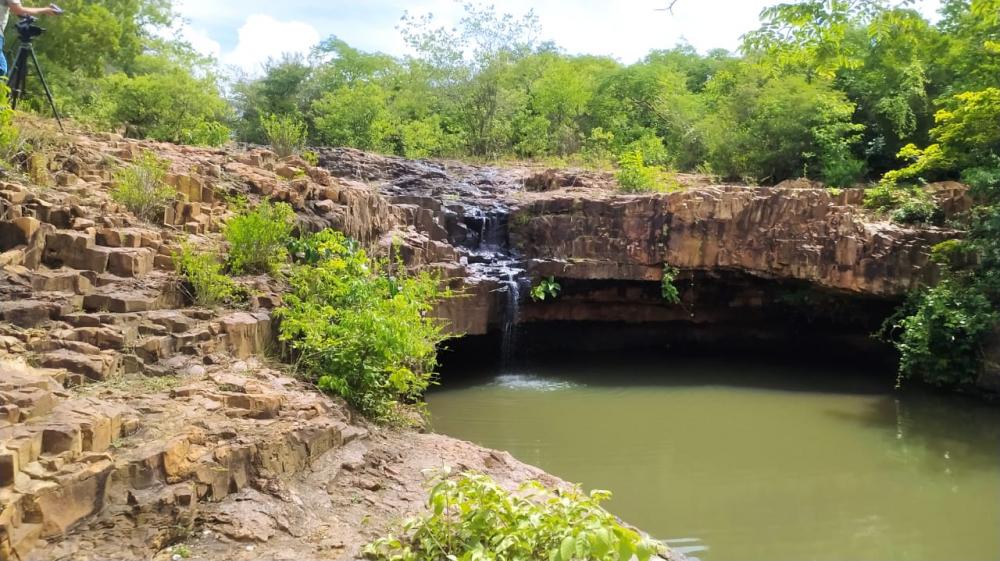 Grupo de banhistas é atacado por enxame de abelhas e ficam “presos” por mais de uma hora, em cachoeira de Pedro II 