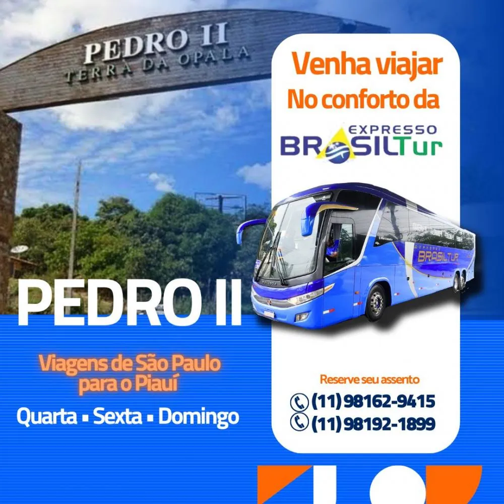 Escolha a Brasil Tur para viajar com conforto e segurança entre Piauí e São Paulo!