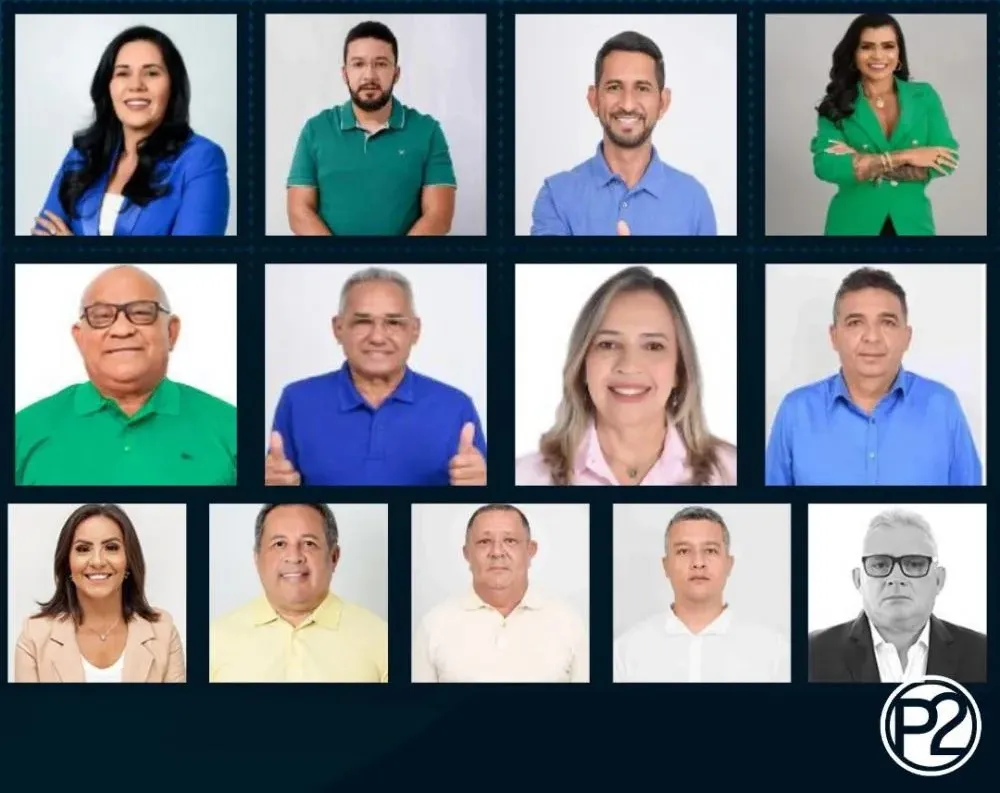 Três vereadores não se reelegeram e seis novos nomes assumem a Câmara de Vereadores de Pedro II