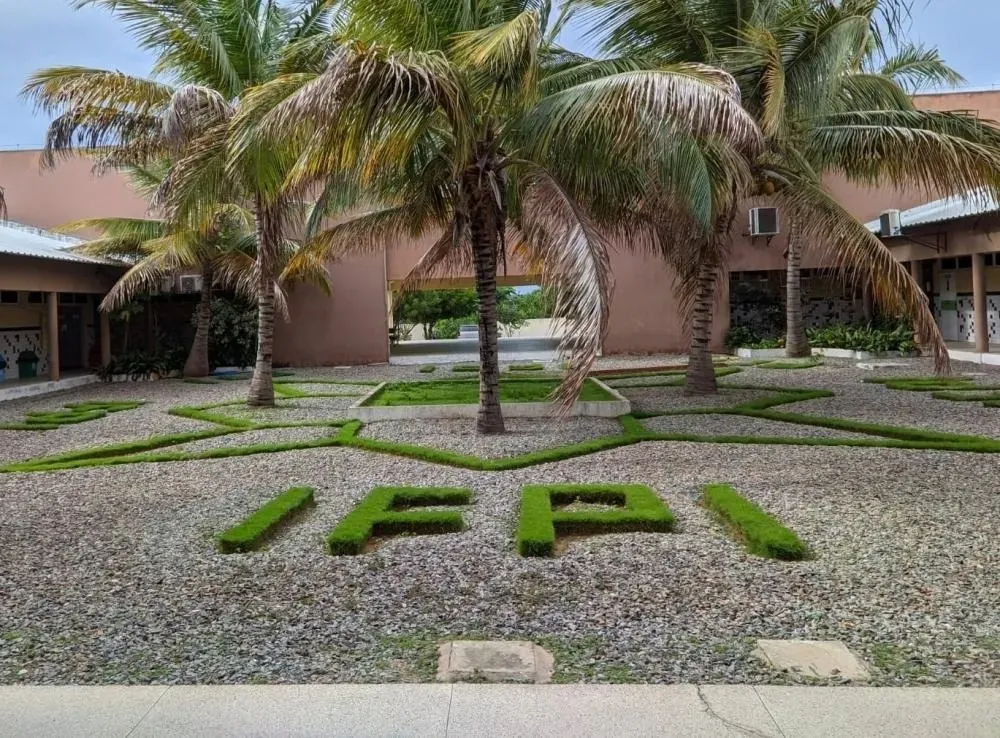 UAB/IFPI abre inscrições para vestibular em Educação Especial e Inclusiva e Letras/Português em Pedro II