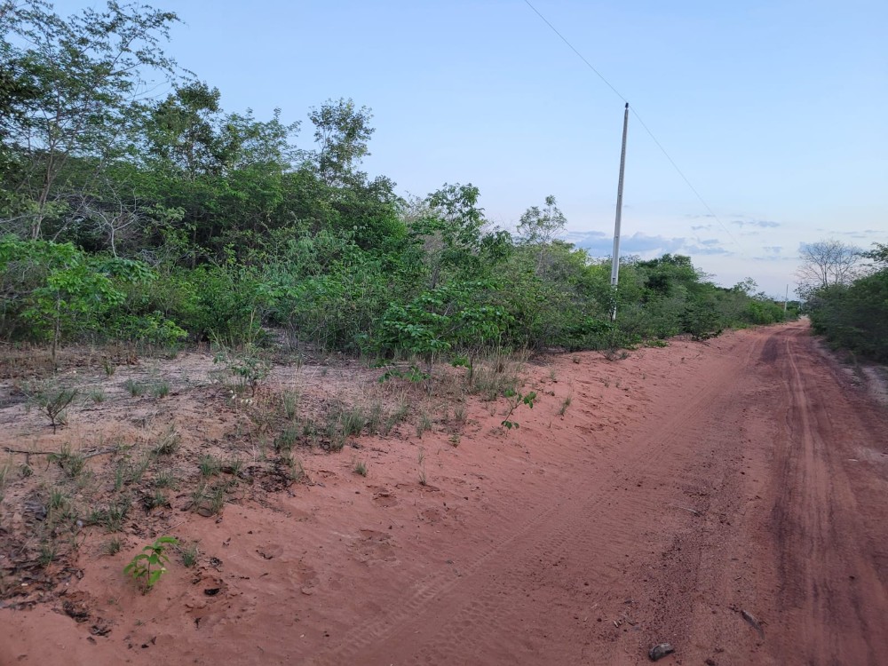 Oportunidade: Lotes/Terrenos à venda em Pedro II