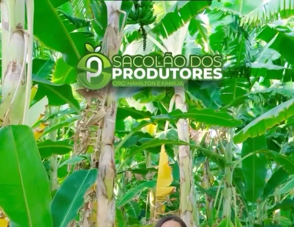 Adicione saúde e sabor à sua mesa com os produtos do Sacolão dos Produtores!