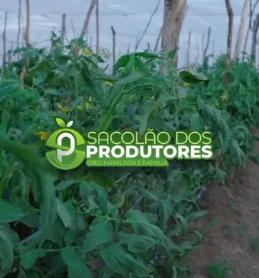 Tenha uma alimentação de qualidade com os produtos do Sacolão dos Produtores!