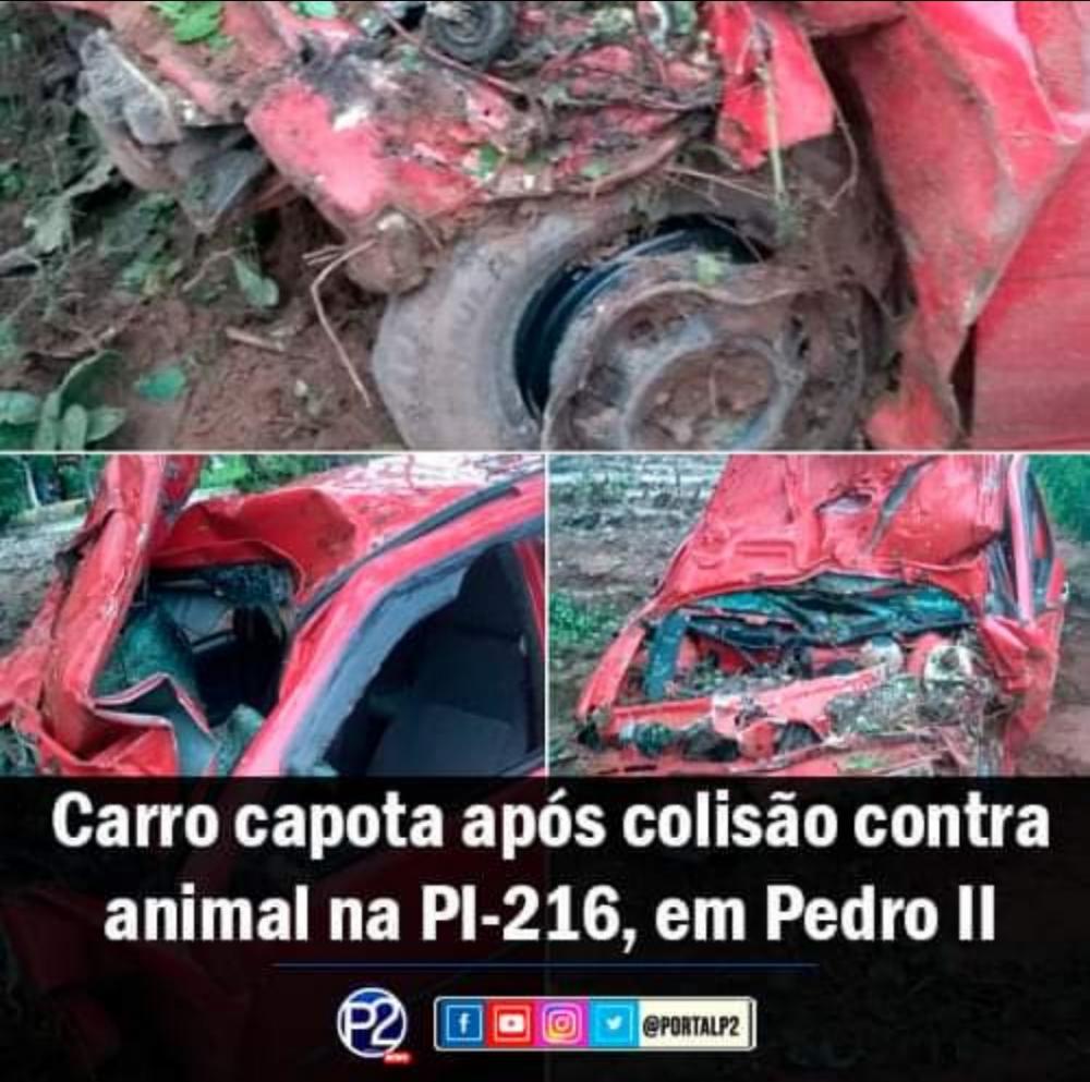 Carro capota após colisão contra animal na PI-216, em Pedro II 