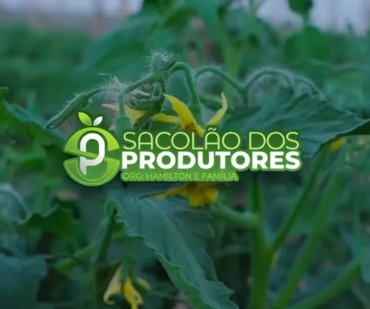 Leve frescor e qualidade para sua mesa com os produtos do Sacolão dos Produtores!