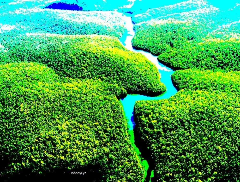 O Rio que Corre Dentro de Mim