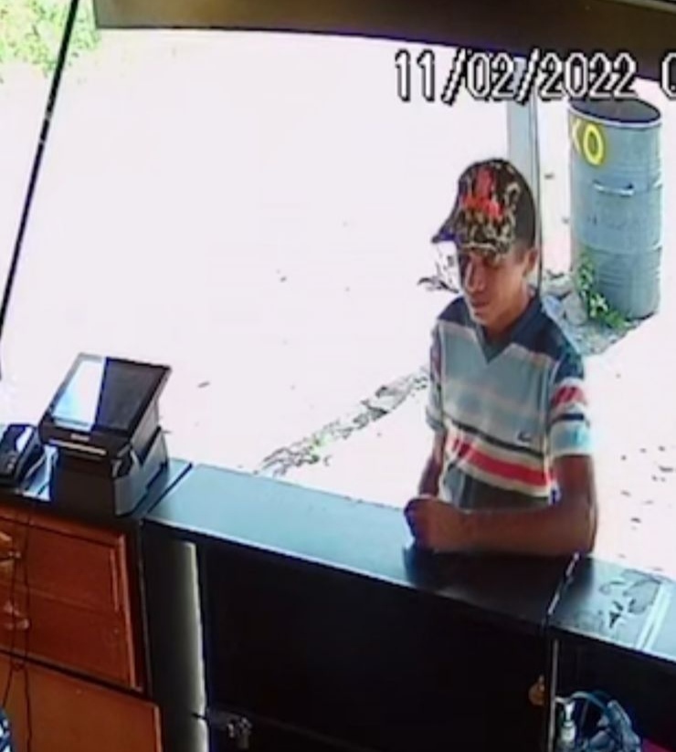 Polícia prende homem acusado de furto de celular, em Pedro II