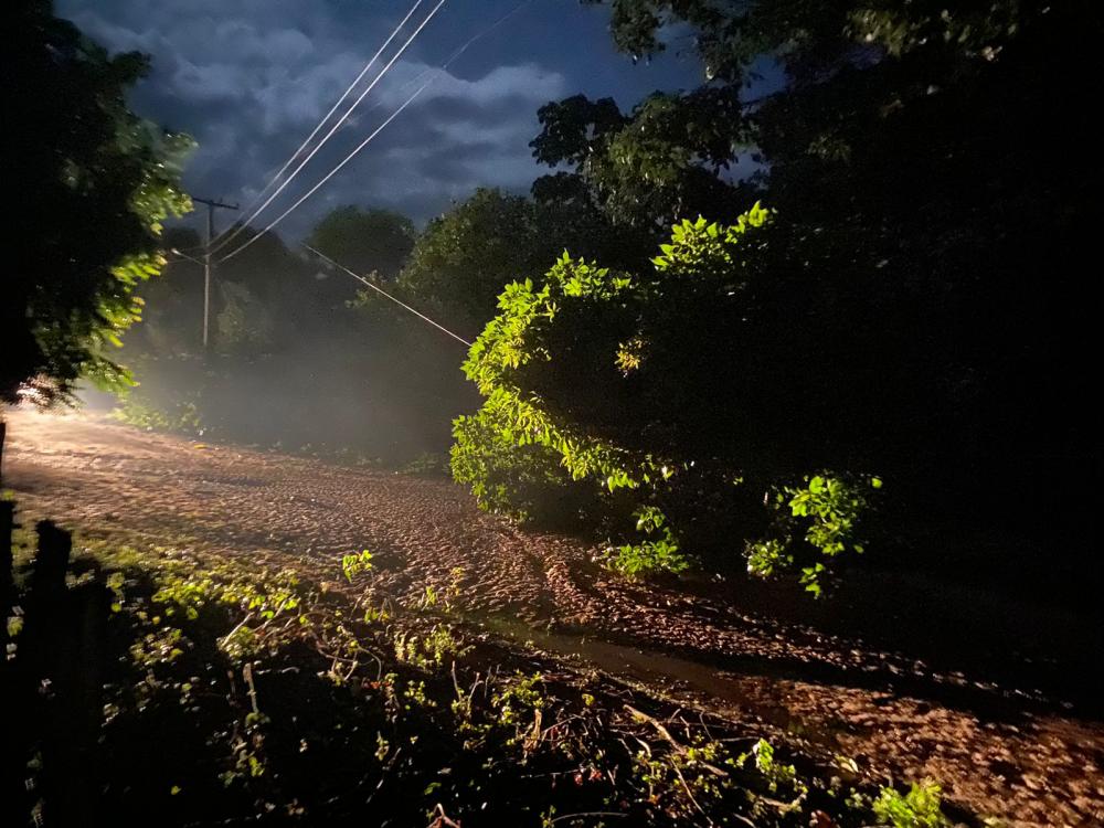Ventania derruba árvores sobre rede elétrica e homem morre eletrocutado na zona rural de Milton Brandão