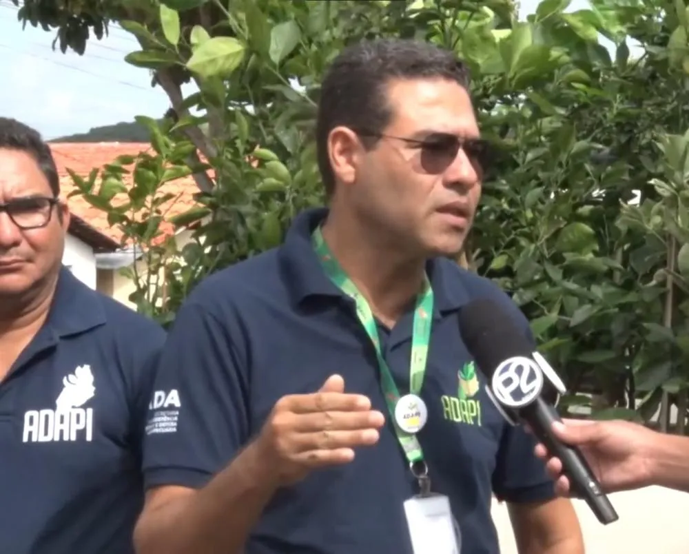 Adapi realiza trabalho de fiscalização e faz apreensão de mudas de plantas em Pedro II; confira!