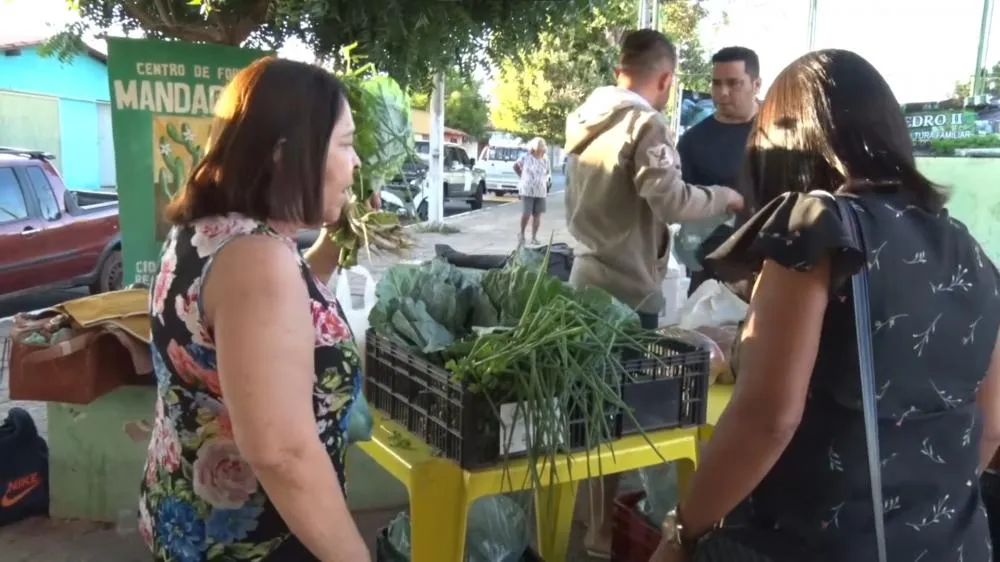 Feira Agroecológica dos Saberes e Sabores celebra 6 anos em Pedro II; Confira!