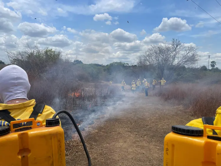 Proibição de queimadas no Piauí entra em vigor nesta sexta-feira (15)