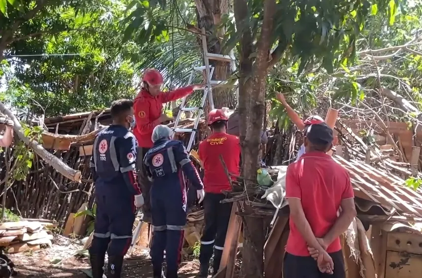 Homem é resgatado após ficar preso em árvore na zona rural de Pedro II; confira!