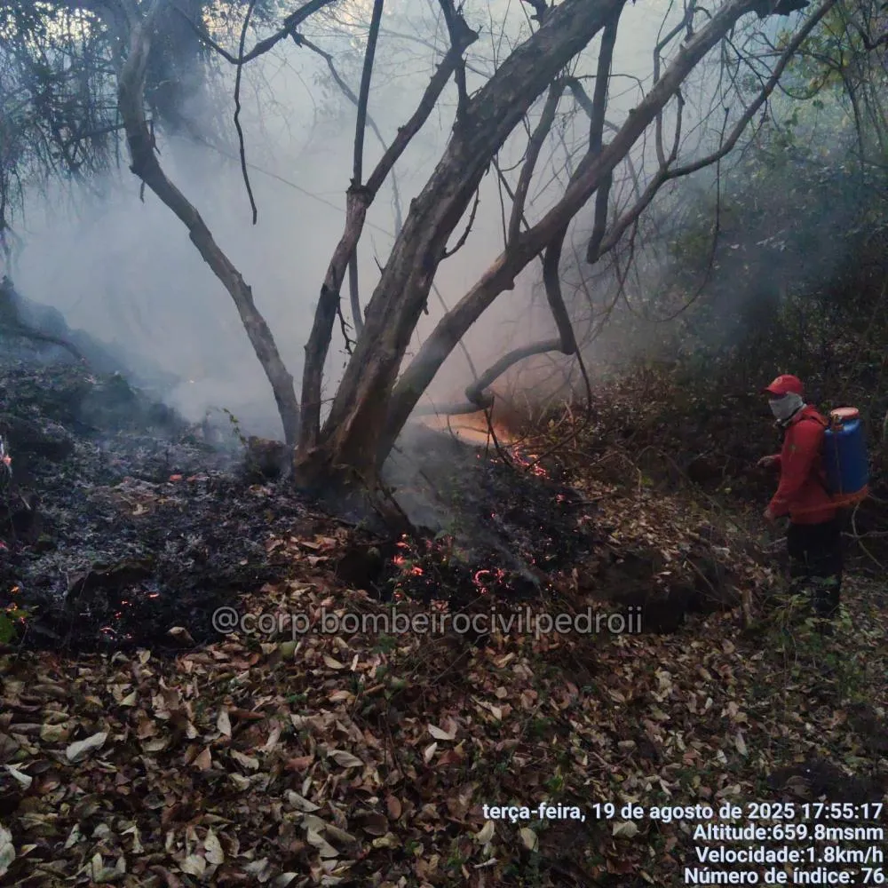 Bombeiros civis controlam incêndio em região de mata na zona rural de Pedro II